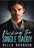 Pucking the Single Daddy: An Enemies to Lovers Boss Romance