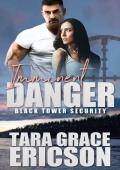 Imminent Danger: A Sweet Romantic Suspense (Black Tower Security Book 4)