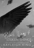 Black Wings & Stolen Things: A Dark Forced Marriage Romance (Fractured Rhymes)