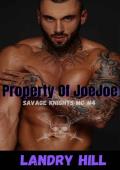 Property Of JoeJoe: Savage Knights MC