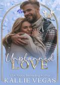 Unplanned Love: The Wedding Party Series