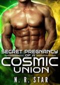 Secret Pregnancy of a Cosmic Union (Celestial Mates Chronicles Book 3)