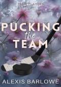 Pucking the Team: A Why Choose Hockey Romance