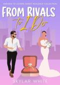 From Rivals to I Do : A Collection of Various Enemies-to-Lovers Romance Novels