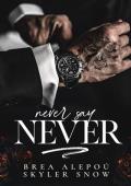 Never Say Never (Vitale Brothers Book 4)