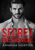 Secret Revenge: An Enemies-to-Lovers Billionaire Romance