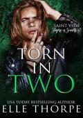 Torn In Two (Saint View Slayers vs. Sinners #2)