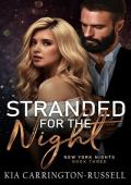 Stranded for the Night (New York Nights #3)