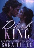 Dark King (Dragonborne Kings #4)