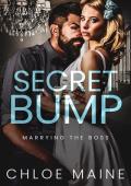 Secret Bump (Marrying the Boss)