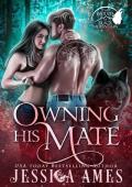 Owning His Mate (The Wolves of Black Mountain #5)