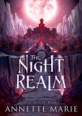 The Night Realm (Spell Weaver #1)