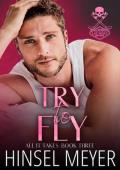 Try To Fly (All It Takes #3)