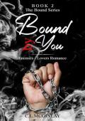 Bound By You (Bound Mafia #2)