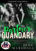 The Partner Quandary (The Partners #3)