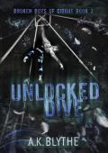 Unlocked Dive (Broken Boys of Cirque #2)