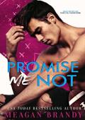 Promise Me Not (Boys of Avix #2)