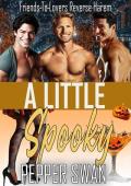 A Little Spooky (Small Town Lovers #7)