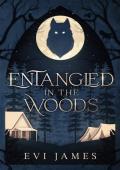 Entangled in the Woods (The North Woods #1)