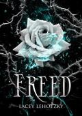 Freed (A Choice of Light and Dark #4)