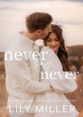 Never Say Never (Haven Harbor #3)