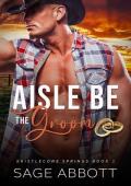 Aisle Be The Groom (Bristlecone Springs #1)