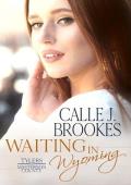 Waiting in Wyoming (Masterson County #11)