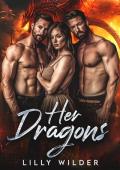 Her Dragons (Her Shifters #1)