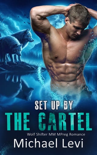 Set Up by the Cartel (Nightshade Wolves #5)