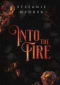 Into the Fire (Flame in the Shadows Trilogy #1)