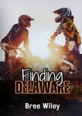 Finding Delaware (State of Us #1)