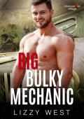 Big Bulky Mechanic (Cherrywood Village #3)