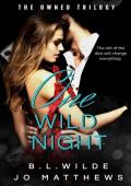 One Wild Night (The Owned Trilogy #1)