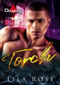 Torch (Diamond MC #4)