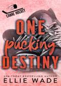 One Pucking Destiny (Crane Hockey #4)