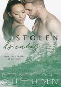 Stolen Dreams (Stone Bay #4)