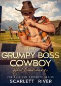 The Grumpy Boss Cowboy Billionaire