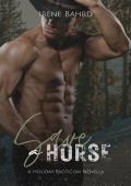 Save a Horse (Holiday ErotiComs #5)