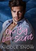 One Big Little Secret (The Rory Brothers #2)