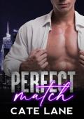 Perfect Match (Vice Club Nights #2)