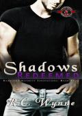 Shadows Redeemed (Garrison Security Innovations #4)