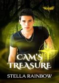 Cam’s Treasure (Heirs of Mistvale #1)