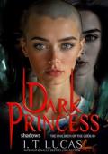 Dark Princess: Shadows (The Children Of The Gods Paranormal Romance #89)