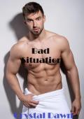 Bad Situation (Wolf Investigations and Securities Inc. #6)