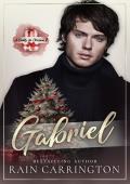 Gabriel (A Daddy for Christmas 2)