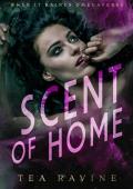 Scent of Home (When it Raines Omegaverse #1)