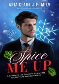 Spice Me Up (Love Takes No Holidays #2)