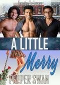 A Little Merry (Small Town Lovers #9)