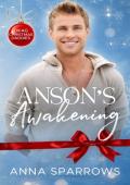 Anson’s Awakening (DKAG Christmas Daddies)