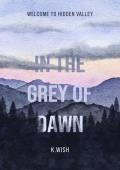 In the Grey of Dawn (Welcome to Hidden Valley #2)